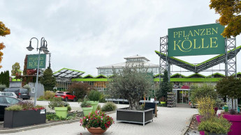 Pflanzen-Kölle führt bei der Zufriedenheit der Gartenmarkt-Kunden
