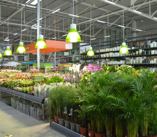 Die grün gefassten Tageslichtleuchten der Indoor-Pflanzenabteilung schaffen Atmosphäre.