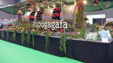 Spoga+Gafa 2024: Erfolgreiche Frühbucherphase