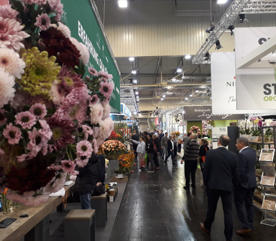 Impressionen von der IPM. Impressionen von der IPM.