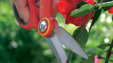 Schön im Design &ndash; praktisch in der Anwendung