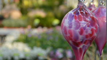 Der Gartenhandel lag im dritten Quartal leicht über Vorjahr