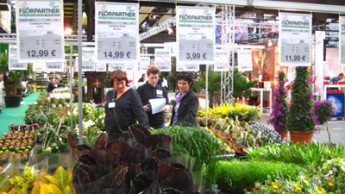 Festliche Orderstimmung