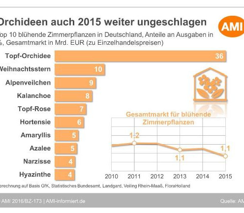 Die Top 10 der blühenden Zimmerpflanzen. Quelle: AMI
Die Top 10 der blühenden Zimmerpflanzen. Quelle: AMI