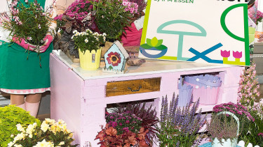 Lifestyle und Garten