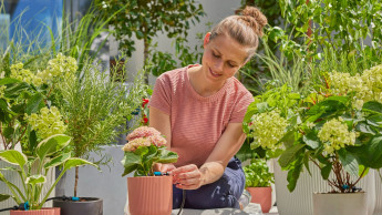 Gardena mit leichtem Plus im zweiten Quartal