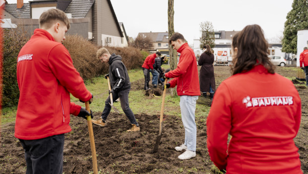 In einer groß angelegten Gemeinschaftsaktion brachten die Auszubildenden die Pflanzen in die Erde.&nbsp;