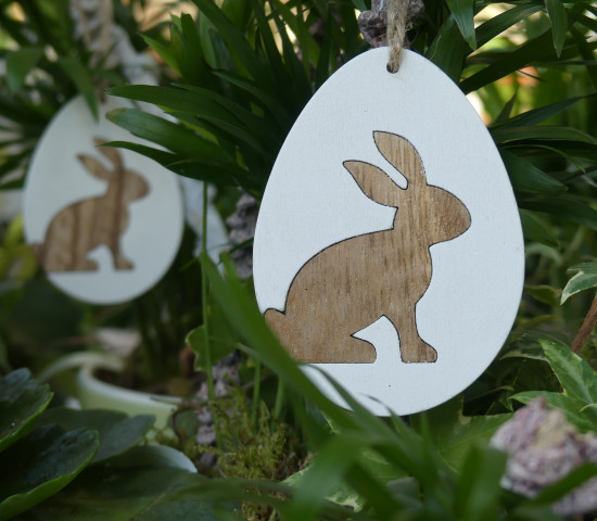 Frohe Ostern!
Frohe Ostern!