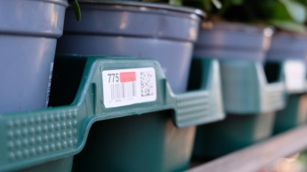 Emsflower schließt sich Euro Plant Tray an