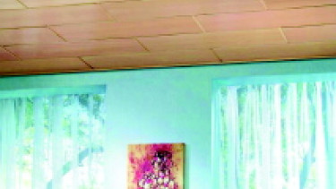 Wand & Decke - Neuheiten