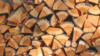 Brennholzpreise explodieren