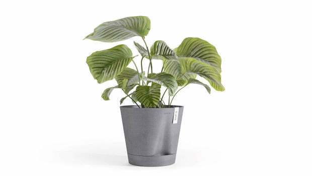 Ecopots, Gießen Ecopots, Gießen