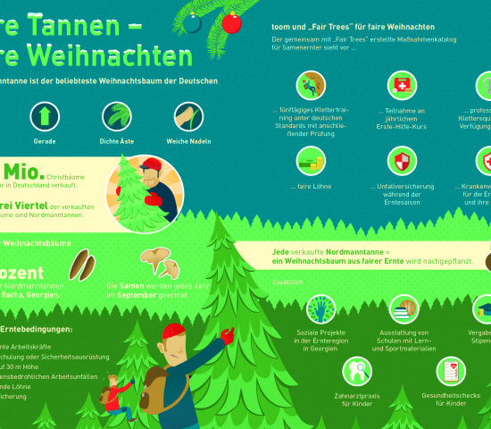 So fasst Toom die Fakten zum Weihnachtsbaumgeschäft zusammen.