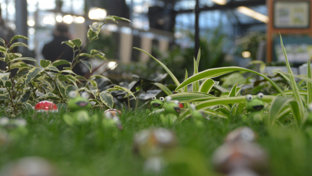 Die erste Gartencenter dürfen wieder öffnen, nun mehren sich die Hoffnungen auf eine baldige Öffnung des gesamten Einzelhandels. 