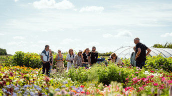 „Back to the roots“ im digitalen Gartenzeitalter