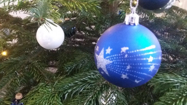 Früher war eindeutig mehr Lametta, aber nach wie vor gehört der Weihnachtsbaum in den allermeisten Familien zur Grundausstattung fürs Fest.