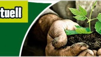 Hornbach lehrt einen Monat lang naturnahes Gärtnern