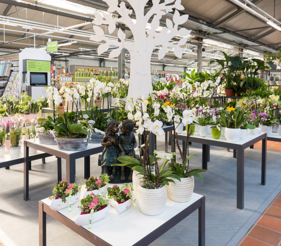 Der zweite Düsseldorfer Dehner-Markt eröffnete in einem umgebauten Klee-Gartencenter.
