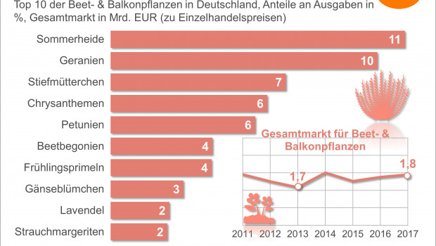 Die Top 10 der Beet- und Balkonpflanzen.
