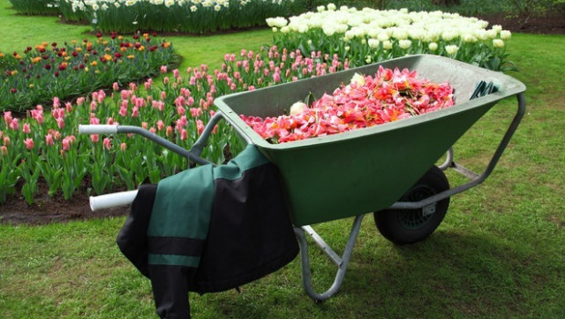 Für die IVG-Mitglieder verlief das Gartenjahr 2015 bisher "normal"