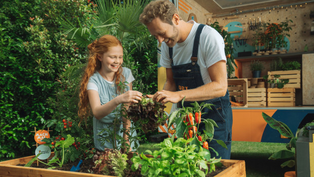 Ob säen, graben, gießen, ernten: In der Gemüseackerdemie bauen Kinder und Jugendliche ihr eigenes Gemüse auf dem Schulacker an.