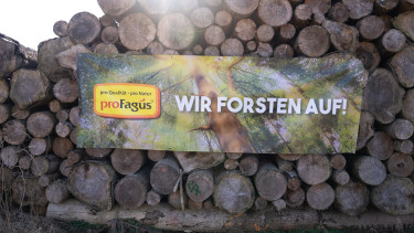 Pro Fagus: Aufforsten im Root Camp