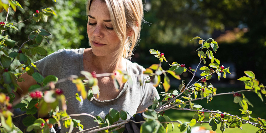 Die Gartennutzung in  Deutschland hat in den letzten Jahren zugenommen. 