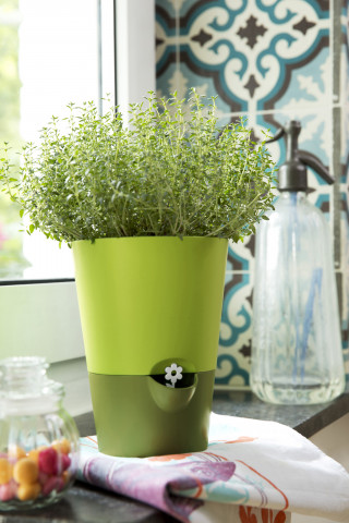 Kräutertopf Fresh Herbs von Emsa Kräutertopf Fresh Herbs von Emsa