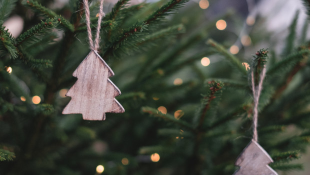 Knapp jeder zehnte Befragte gab an, eine nachhaltige Lösung beim Thema Weihnachtsbaum wählen zu wollen.