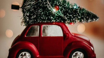 Die meisten Weihnachtsbäume werden stationär gekauft