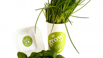 „Grow to go“ und andere frische Themen