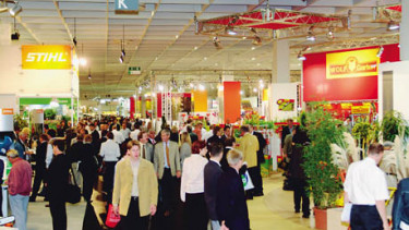 Grüne Internationalität