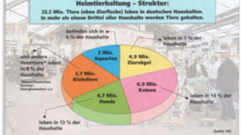 Heimtiermarkt 2001: Leichtes Plus trotz ungünstiger Rahmenbedingungen