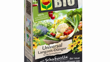 Die neuen Naturtalente