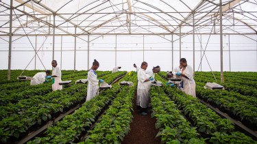 Toom erweitert Fairtrade-Projekt