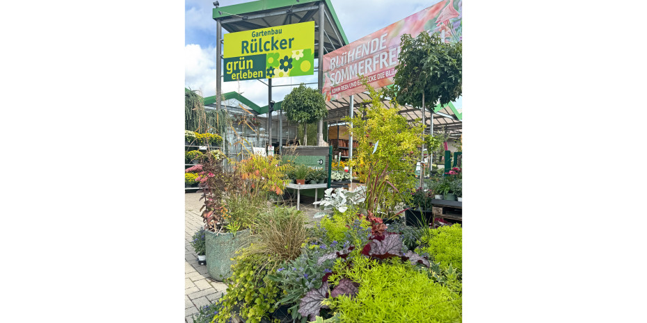 Bei Gartenbau Rülcker ist das Gewächshaus zur Bühne geworden. Bei Gartenbau Rülcker ist das Gewächshaus zur Bühne geworden.