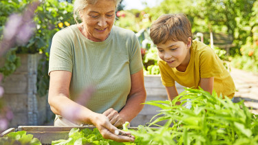 „Familien betrachten das Gärtnern ganzheitlich“ „Familien betrachten das Gärtnern ganzheitlich“