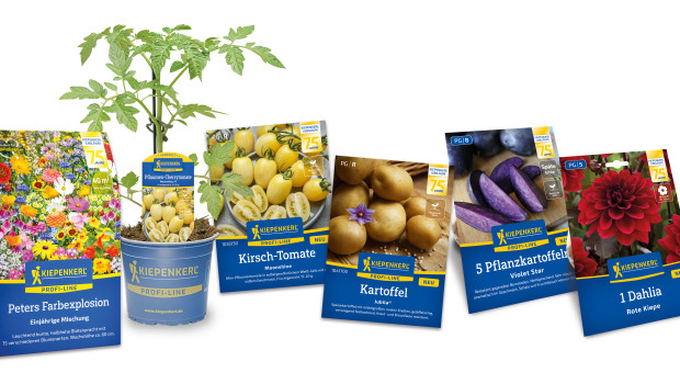 Bruno Nebelung, Kiepenkerl, Saatgut Bruno Nebelung, Kiepenkerl, Saatgut