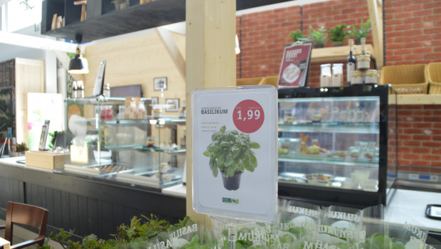 Auch für die Gartencenterbetreiber wird das Café immer wichtiger. Die Sagaflor hat ihr neues Konzept dazu auf der Garten- und Zooevent vorgestellt.
