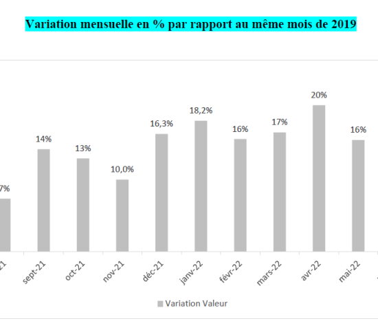 Baumärkte in Frankreich: Monatliche Veränderungsraten Umsatz gegenüber Vergleichsmonate 2019.