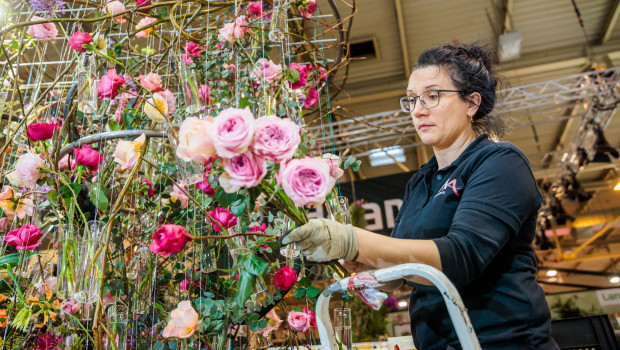 Zierpflanzen und Blumen haben sich auf dem Marktniveau von 2019 eingependelt.