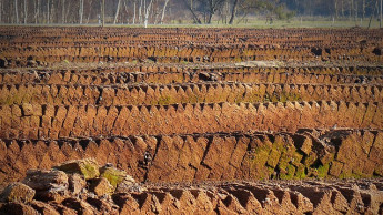 Gartenbau- und Substratindustrie weisen auf Probleme bei Torfminderung hin