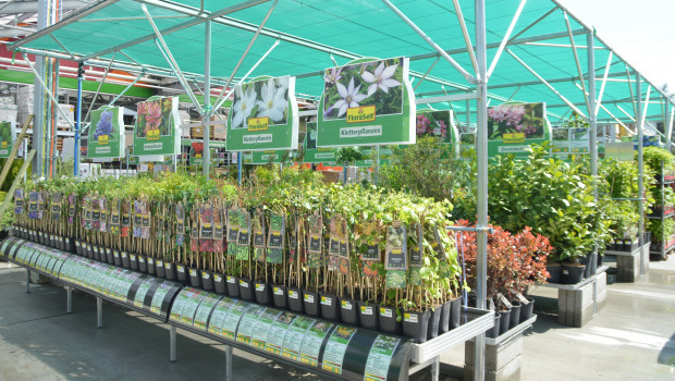 Der Frühling ist da - und den Baumärkten in Sachsen und Bayern droht offenbar die Schließung ihrer Gartencenter, wenn die jeweiligen Inzidenzwerte zu hoch sind.