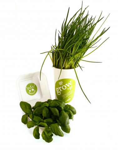 Das "Grow to go"-Konzept spielt mit dem Thema Fast-Food. Das "Grow to go"-Konzept spielt mit dem Thema Fast-Food.