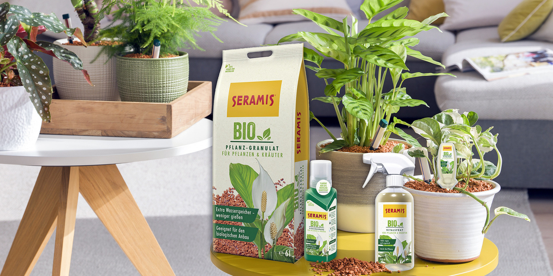 Bio für drinnen diy online