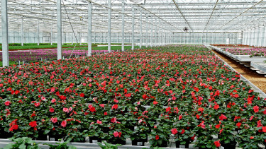 Garten Aktuell
