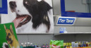Tiere bekommen mehr