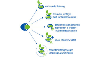 Hobbygärtner in die Zukunft schicken