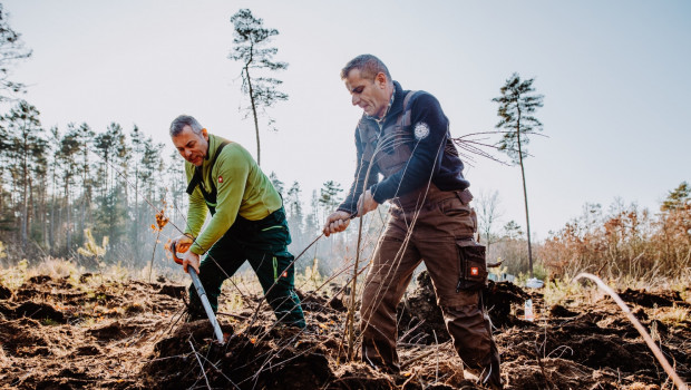 Beispielhafte Baumpflanzaktion des Unternehmens Plant-My-Tree, das nun für die NBB-Gruppe im schleswig-holsteinischen Hohenaspe aktiv wird.