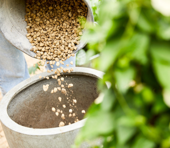 In der neuen Gartensaison bietet Compo mit Granuplant eine nachhaltige Alternative  zu Blähton an.